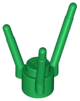 Plant, Flower Stem