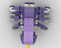 31125 Spider