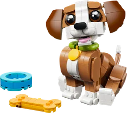 Cute Animals: Playful Puppy Dog