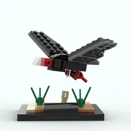 Turkey Vulture