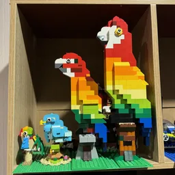 10696 Rainbow parrot