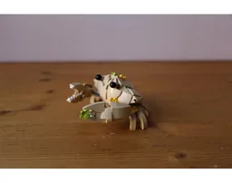 Cute Crab