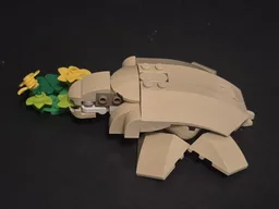 Hungry Turtle