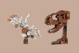 31154 Dinosaur Fossils