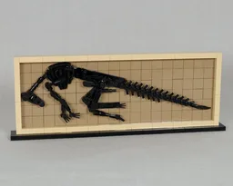 Hadrosaur Fossil