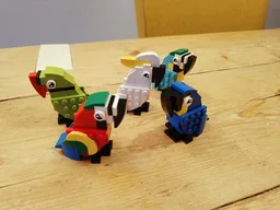 Ara parade, small size parrots