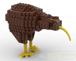 Kiwi Bird