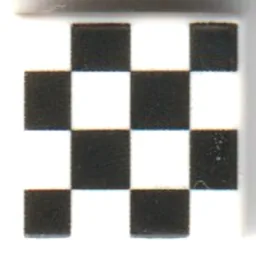 Tile 1 x 1 with Black /White Checkered Print