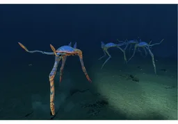 Sea Treader Leviathan