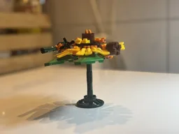 Sunflower Falcon