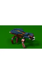31102_Phylliidae