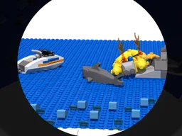 Coast guard