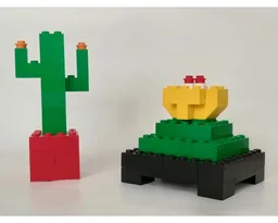 6166 Cacti
