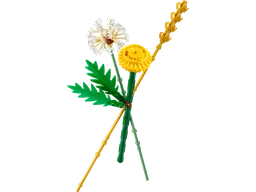 Field Flowers