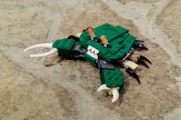 31058 Fiddler Crab