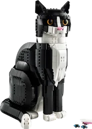 Tuxedo Cat