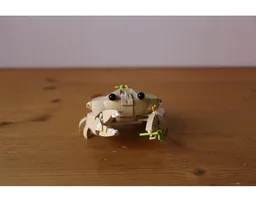 Cute Crab