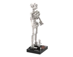 21320 Human Skeleton