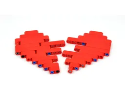 Technic Broken Heart