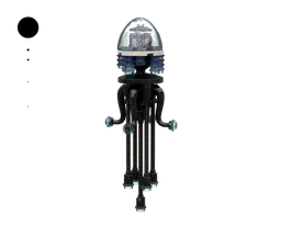 Jellyfish