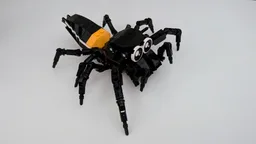 Cute Jumping Spider