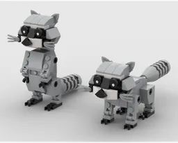 Raccoon