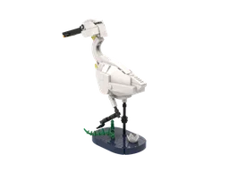 Spoonbill