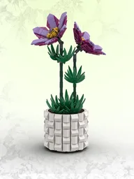 Pasqueflower (BT019)