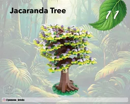 Jacaranda Tree