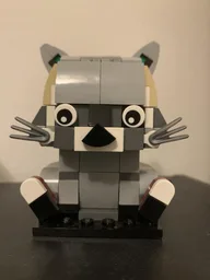 Raccoon