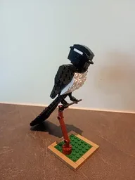Willie Wagtail