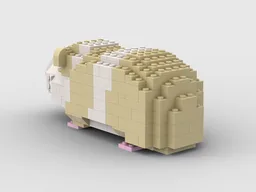 Guinea Pig