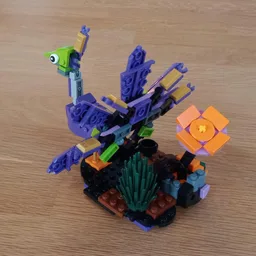 40562 - Peacock
