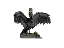 Cormorant