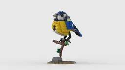 Eurasian Blue Tit - Cyanistes caeruleus