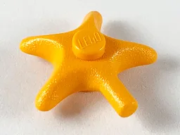 Animal, Starfish