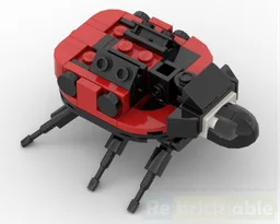 Ladybug