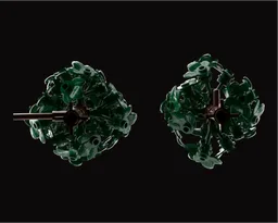 small trees