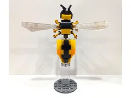 Insect Collection