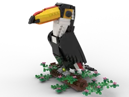 Toco Toucan