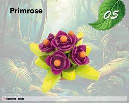 Primrose