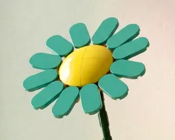 Echinacea
