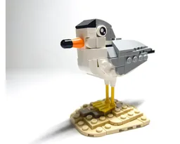 Piping Plover