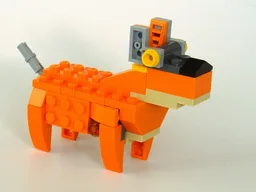 31017: Orange Doggie