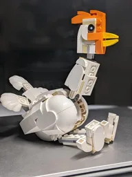 31133: Chicken