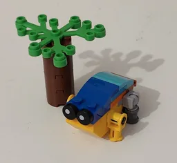 frog with tree