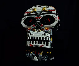 Diablo Dan the Technic Skull