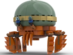 Chrysanthemum Hermit crab