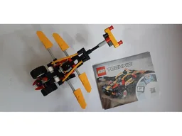 42101 Odonata