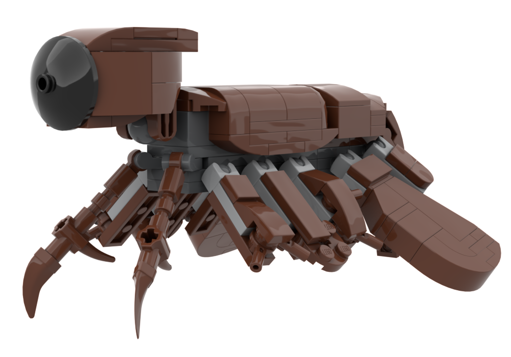 Lego Cambropachycope clarksoni